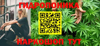 mdma Камышлов